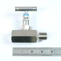1 of 2 inch needle valve