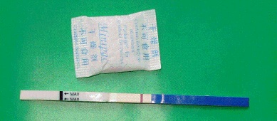 One Step Pregnancy Test (HCG test) Strip
