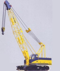 Crawler Crane (QUY50)