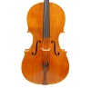 Cello-Anmorlly