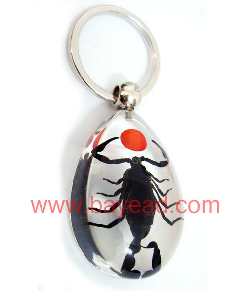 real insect amber keychains