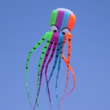 8M octopus kite(no frame soft) - RH028