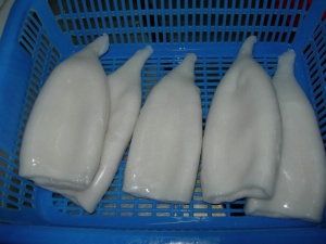 Frozen Seafood_Todarodes pacificus squid tubes