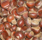 Fresh Organic Chestnut