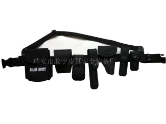 Multi-functional belt