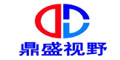 Guangzhou Dingshengshiye Electronic Technology Co.