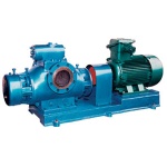 2H Series double-absorb twin screw pump