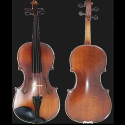 violin - V-2564
