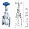 Cast steel globe valve - 0002