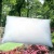 latex pillow with cover - KH-1008