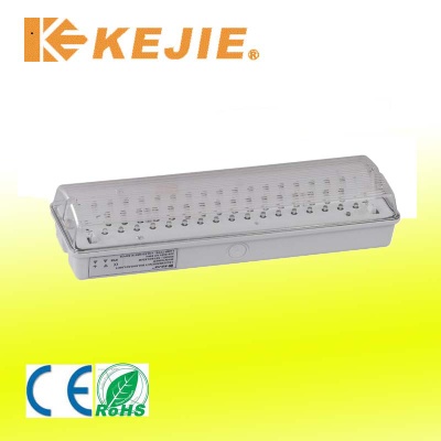 LED emergency bulkhead