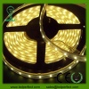 SMD LED Strip Light