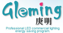 Shenzhen Gleming  Optoelectronlcs Technology Co.,ltd.