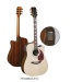 Acoustic Guitar - HFG088CEH-41S