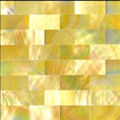 yellowlip mother of pearl tile PM003-G
