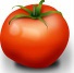 tomato paste - tomato paste