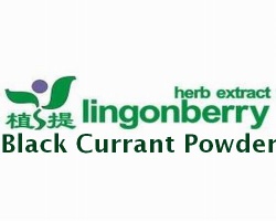 Black Currant Powder (fruit powder)