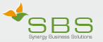 Synergy Business Solutions  - Accounting Services