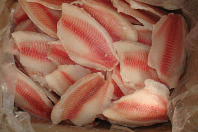 tilapia fillet, CO-treated