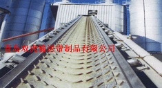 Patterned Conveyor Belt