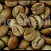 Green ivorian robusta coffee beans