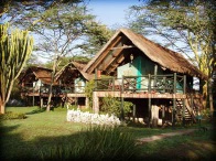 Take Your Family on a 14-days Wildlife Safari in Kenya - SVAF 003: