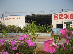 Steel Ball Joint-stock Co.,LTD Of China Shandong Huamin