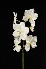 artificial vanda orchid flower