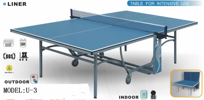 INDOOR table tennis table