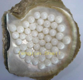 Pearl Nucleus and Pearl Nuclei