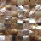 Penguin MOP shell tile（seamless-jiont）