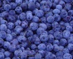 blueberry concentrate(sales2 at lgberry dot com dot cn)