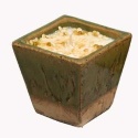 Fresh Bamboo Soy Candle in Wheat Glazed Ceramic Pot