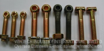Construction Fasteners--Scaffold Clamp Bolts,T Bolts,eye bolts