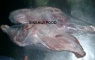 halal frozen lamb hindquarter - 003