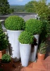 beautiful garden planter