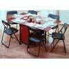 Folding Butterfly Table & Chair Set ( Chair: 6pcs )