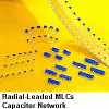 Multilayer Ceramic Capacitors Radial And Axial Leaded Type