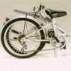 20" Steel Folding Bike
