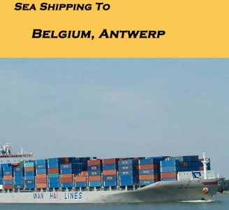 container ocean shipping services, Sea freight, Ocean freight forwarder