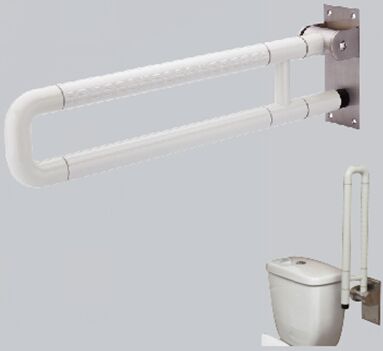 turnkey solution for accessible shower and disabled toilet home care