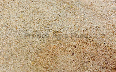 actual image of rice gluten manufactured at Prorich Agro Foods.