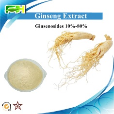 Ginseng extract 10%-80% Ginsenosides