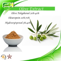 Olive Leaf Extract Oleuropein 20%-70% Hydroxytyrosol 3%-40%