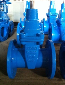 Resilient Seated Gate Valves - BS5163/BS5150 NRS
