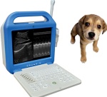 VET Digital Laptop Ultrasound Scanner/portable ultrasound/medical ultrasound/used medical equipment