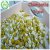 chamomile for import and export - 843880