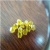 Synthetic Rough Yellow Diamond Manufacturing Price Per Carat - Better Star