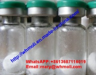 Fragment Amino Acids HGH 176-191 Peptide Hormones Bodybuilding Supplements - HGH 176-191