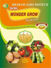 Surbhi Wonder Grow